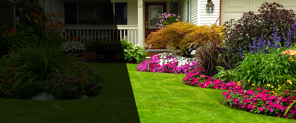 King City Landscapers