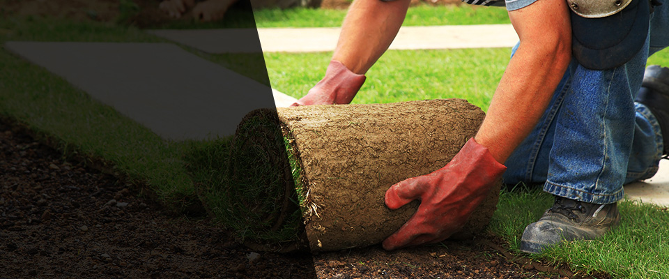 King City Landscapers